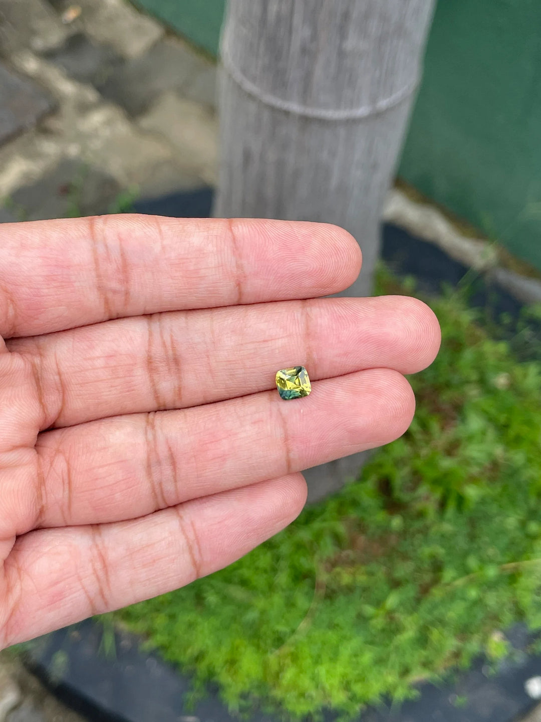 1.11 Ct Cushion Cut Bi-Color Yellow Green Sapphire, 5.8mm x 5.6mm x 3.8mm By Valley Rose