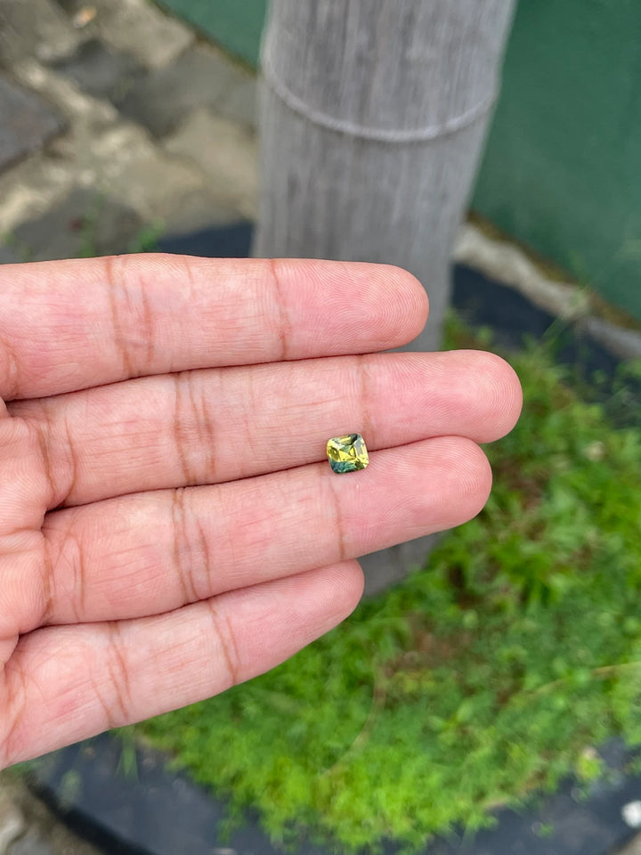 1.11 Ct Cushion Cut Bi-Color Yellow Green Sapphire, 5.8mm x 5.6mm x 3.8mm By Valley Rose