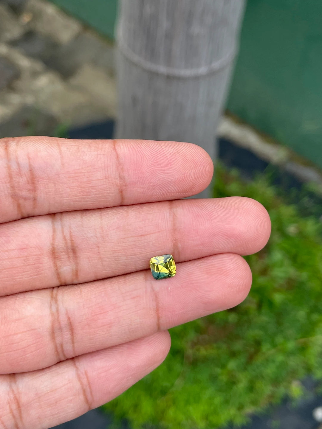 1.11 Ct Cushion Cut Bi-Color Yellow Green Sapphire, 5.8mm x 5.6mm x 3.8mm By Valley Rose