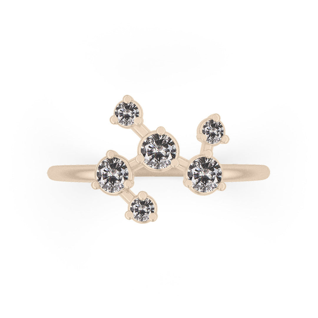 Pleiades Ring, Salt & Pepper Diamond By Valley Rose