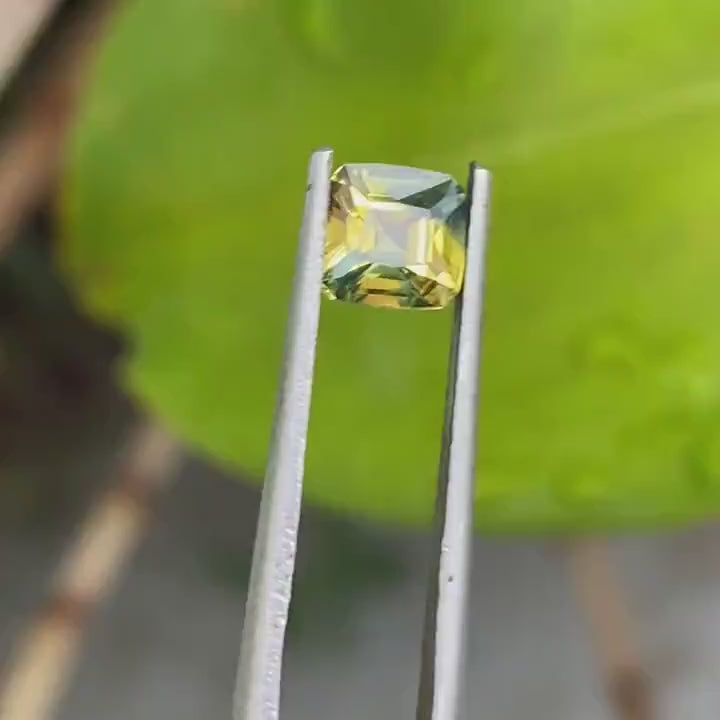 1.11 Ct Cushion Cut Bi-Color Yellow Green Sapphire, 5.8mm x 5.6mm x 3.8mm