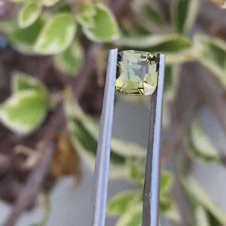 1.03 Ct Cushion Cut Bi-Color Green Yellow Sapphire, 5.4mm x 5.3mm x 3.9mm