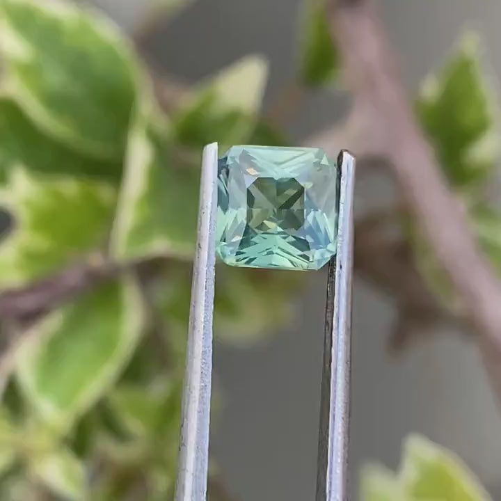 1.56 Ct Asscher Cut Green Sapphire, 6.3mm x 6.1mm x 3.9mm