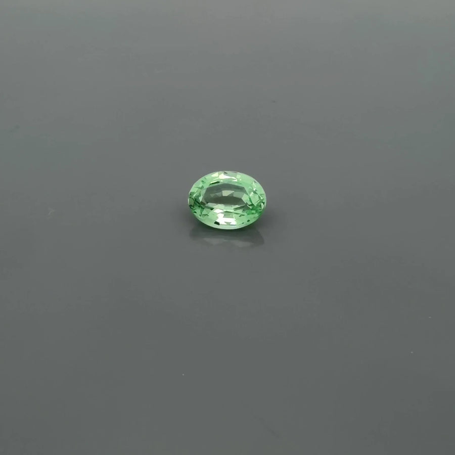 1.40ct Oval Natural Garnet (Colour Green, Clarity Slightly Included, Cut Faceted)