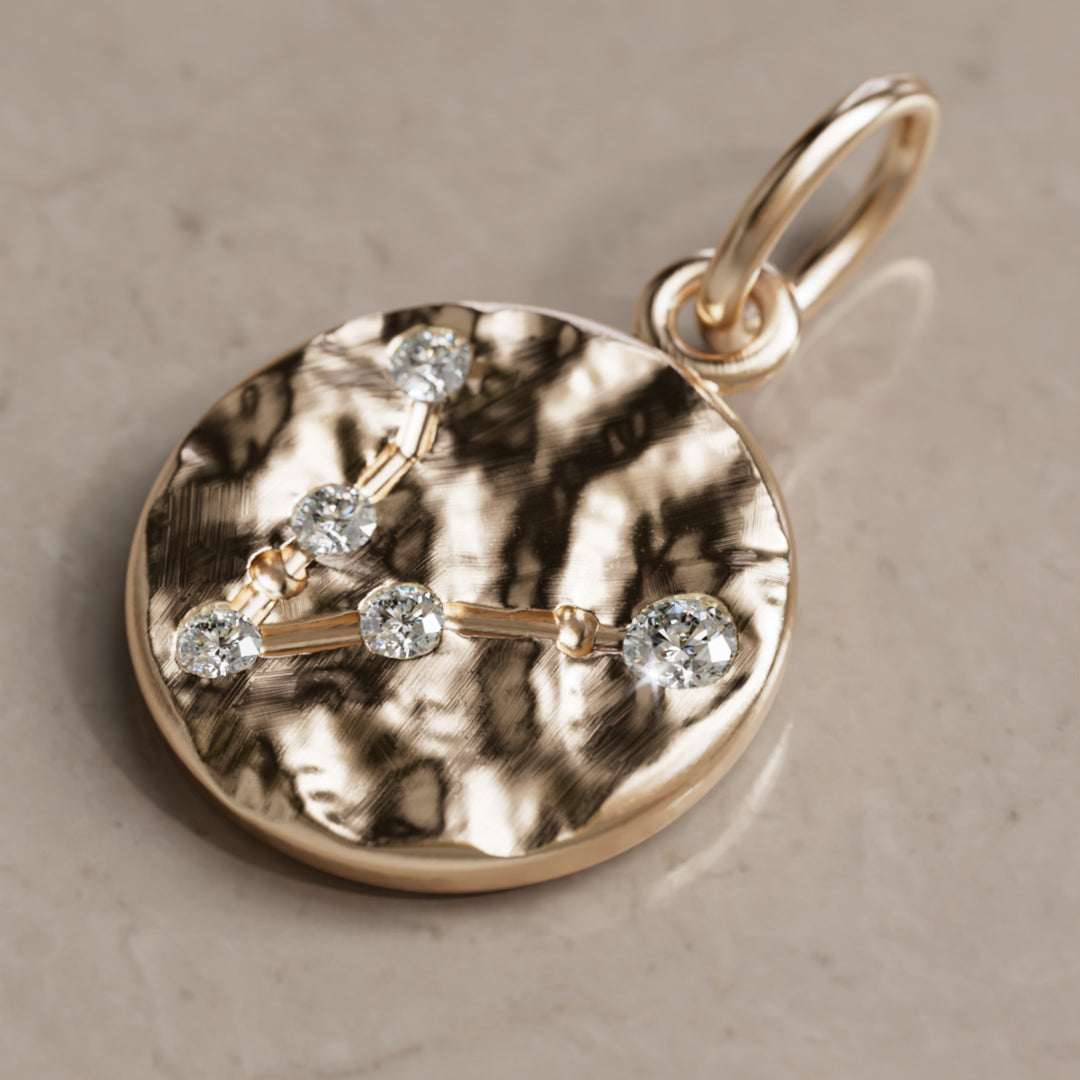 Kalat Tähtikuvio Horoskooppi Laboratorio Timantti Kolikko Riipus