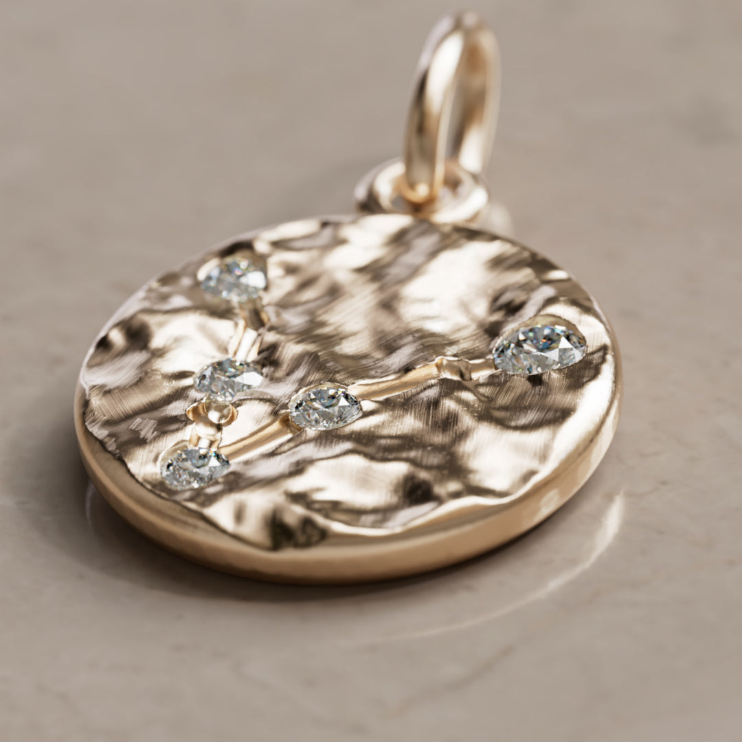 Kalat Tähtikuvio Horoskooppi Laboratorio Timantti Kolikko Riipus