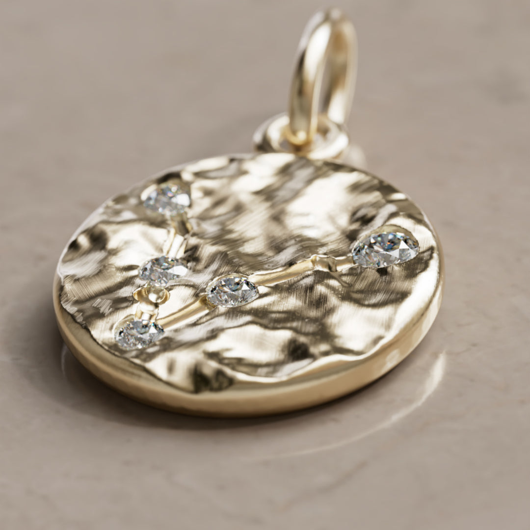 Kalat Tähtikuvio Horoskooppi Laboratorio Timantti Kolikko Riipus