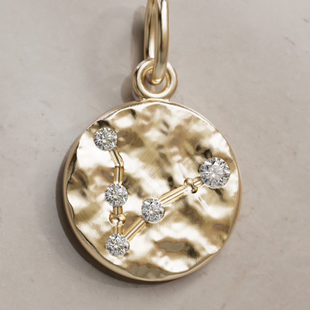 Kalat Tähtikuvio Horoskooppi Laboratorio Timantti Kolikko Riipus