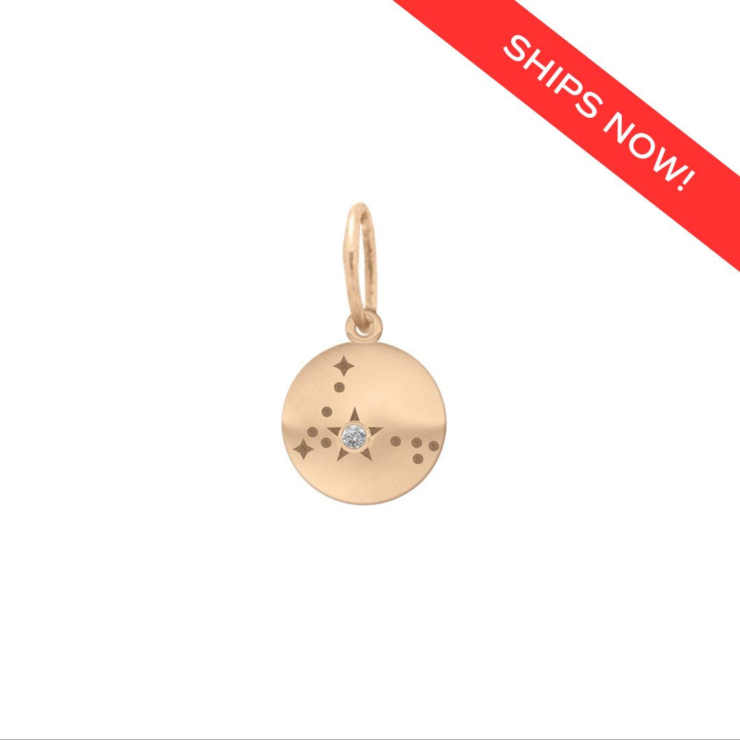 Pisces Mini Constellation Charm