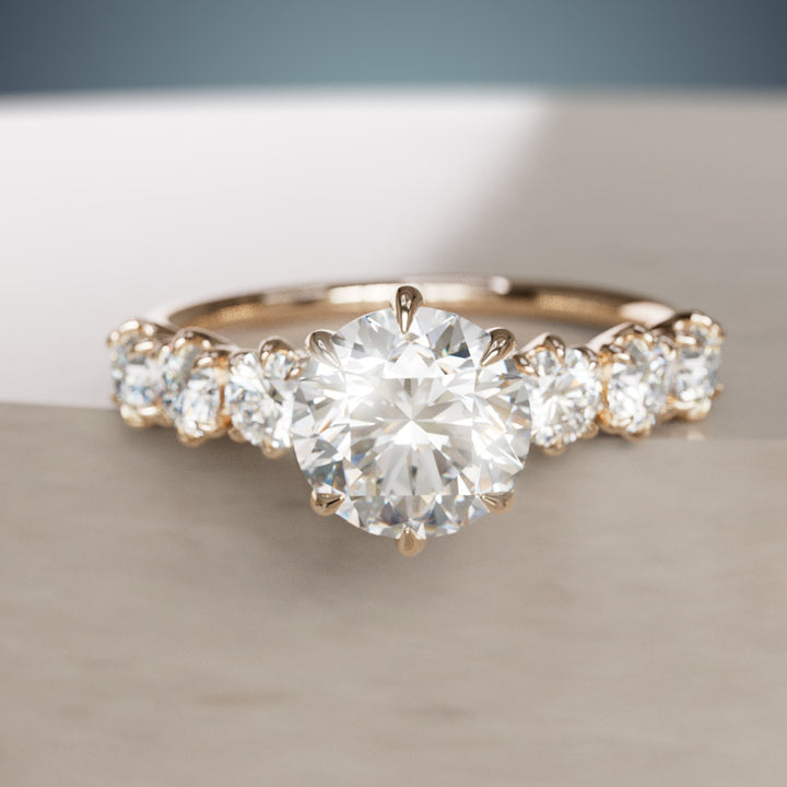 Isobel Einzigartiger Moderner Runder Lab-Diamant Verlobungsring (Nur Fassung)