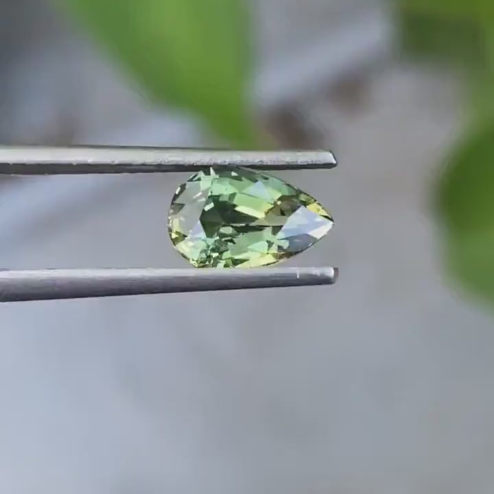 1.55 Ct Pear Cut Green Bi-color Sapphire, 8.4mm x 5.5mm x 4.2mm