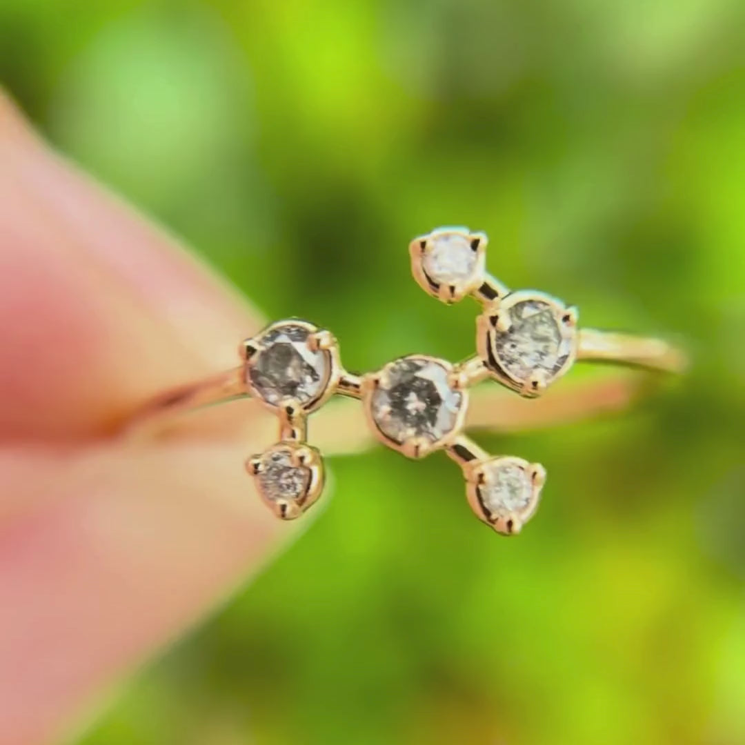 Anello Pleiadi, Diamante Sale e Pepe